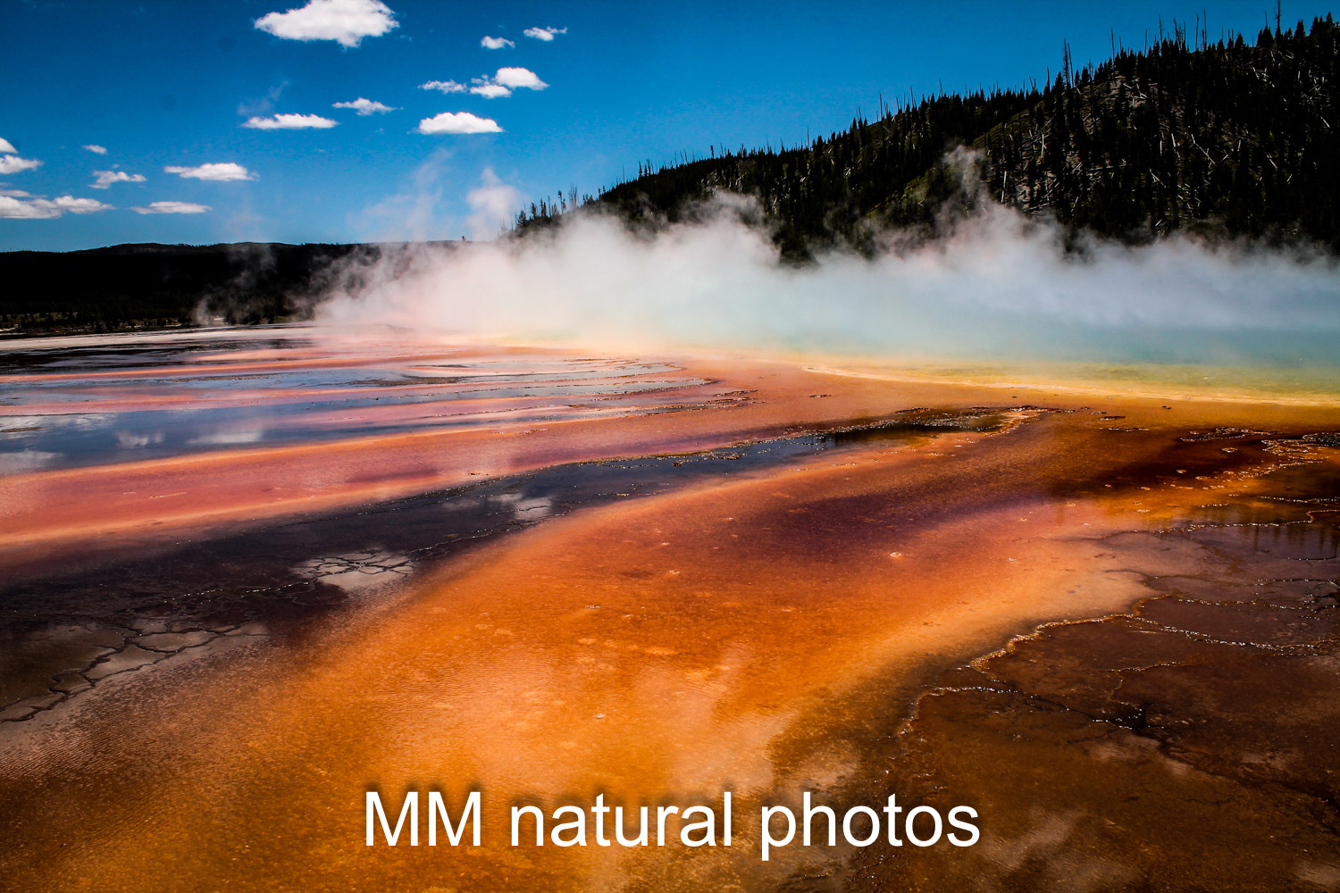 Yellowstone Hot Spring.